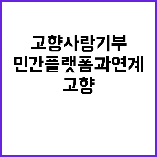 고향사랑기부, 민간…