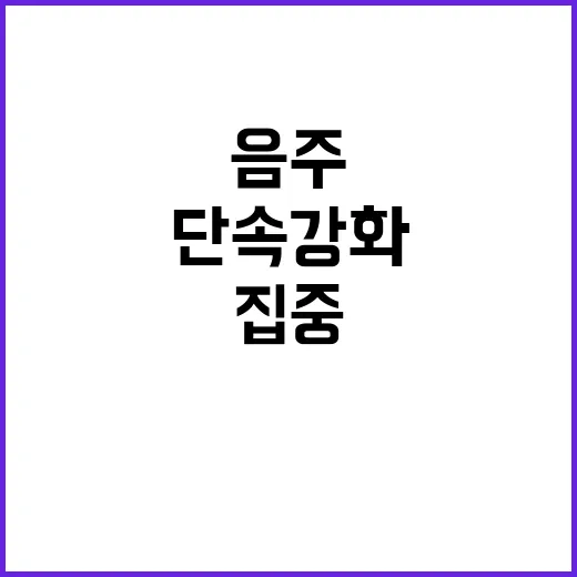 피서지 암행차 집중 배치, 음주 단속 강화!