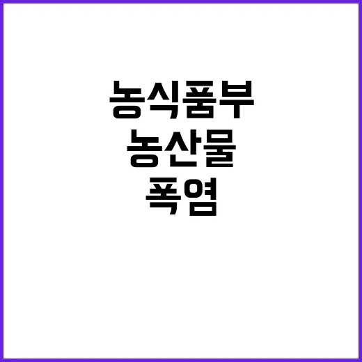 농산물 가격, 폭염 영향 반박하는 농식품부 발표!