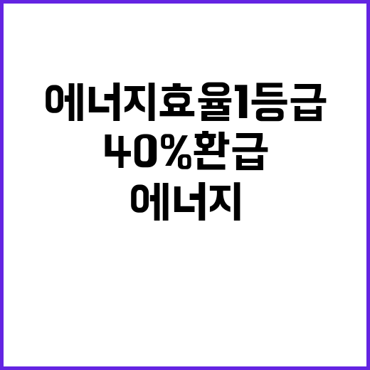 에너지 효율 1등급…