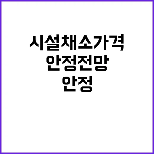 “시설채소 가격 안…