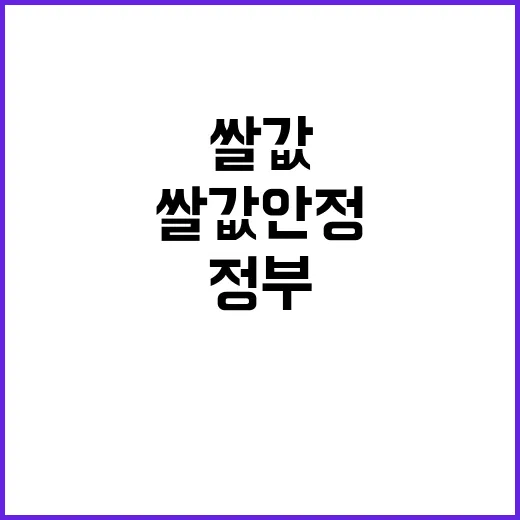 쌀값 안정 정부 추가 매입 없다! 모든 진실 공개!