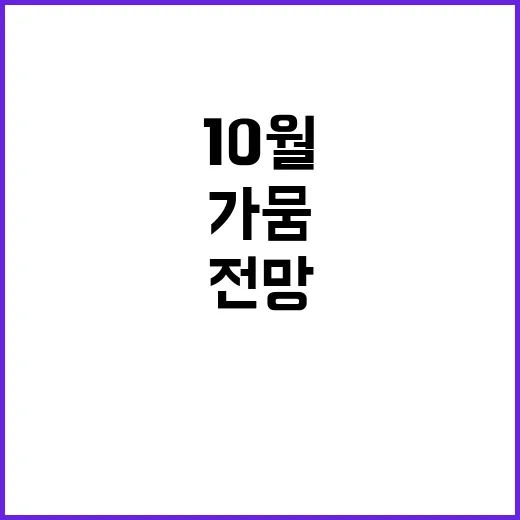 강수량 증가 기상가…