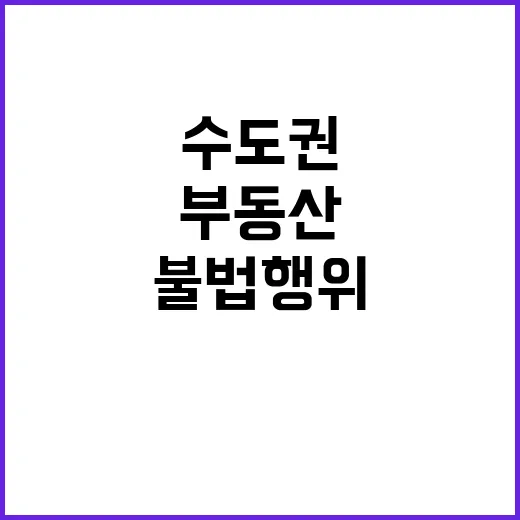 부동산 불법행위 수도권 집중 조사로 가격 영향!