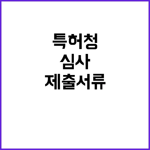 특허청 “공정한 심…