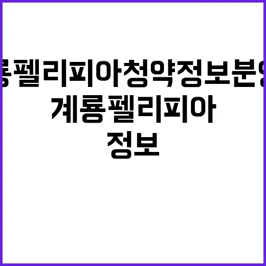 계룡 펠리피아 청약…