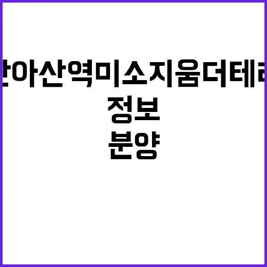 천안아산역 미소지움 더테라스 청약 일정 분양 정보 공개!