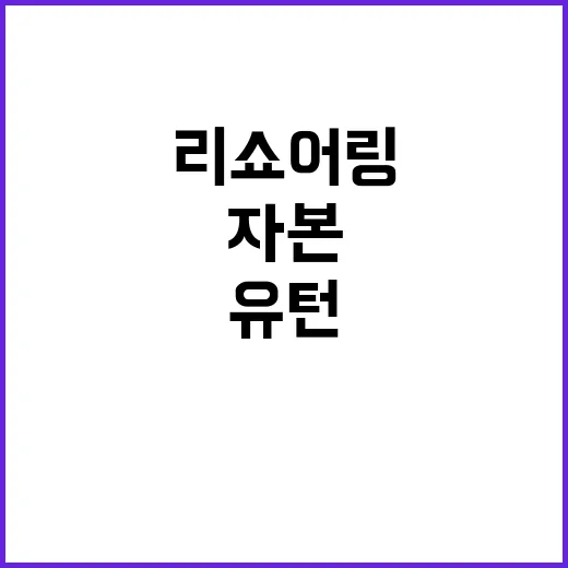 자본 리쇼어링 유턴…