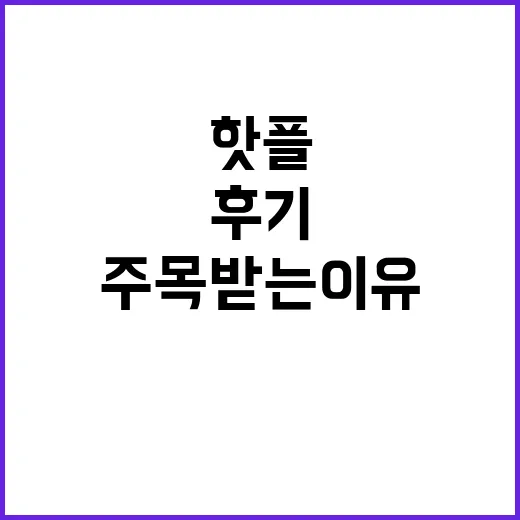 캠핑힐 오픈 초기 …