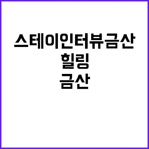 스테이 인터뷰 금산