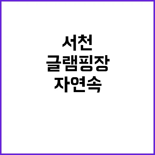 서천 장항글램핑장 …