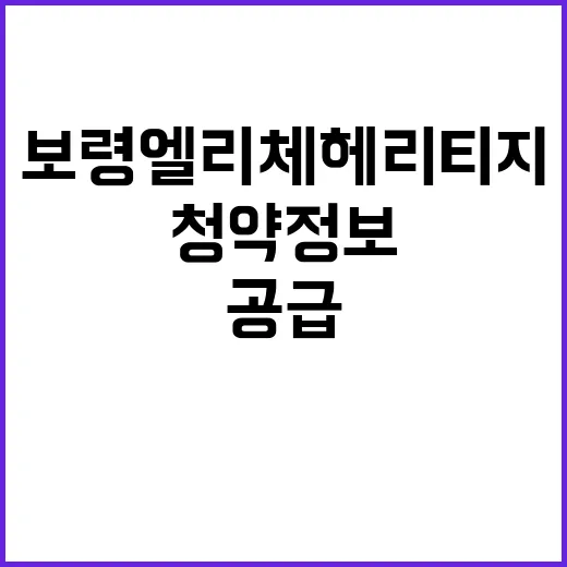 보령 엘리체 헤리티지 청약 정보 특별 공급 기회!