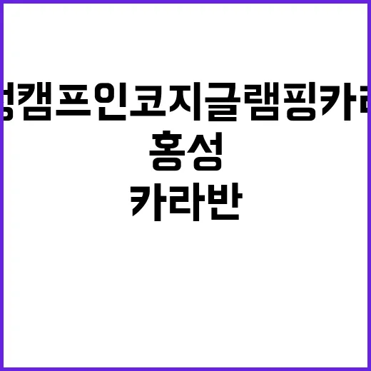 홍성 캠프인코지 글…