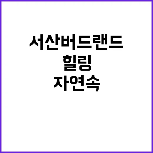 서산버드랜드 야영장…