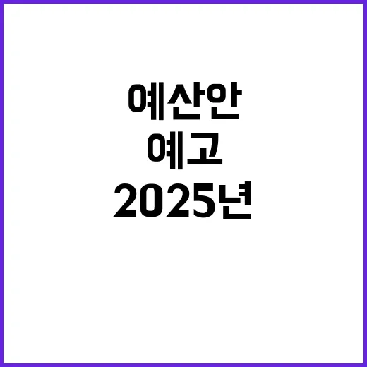 2025년 예산안 …