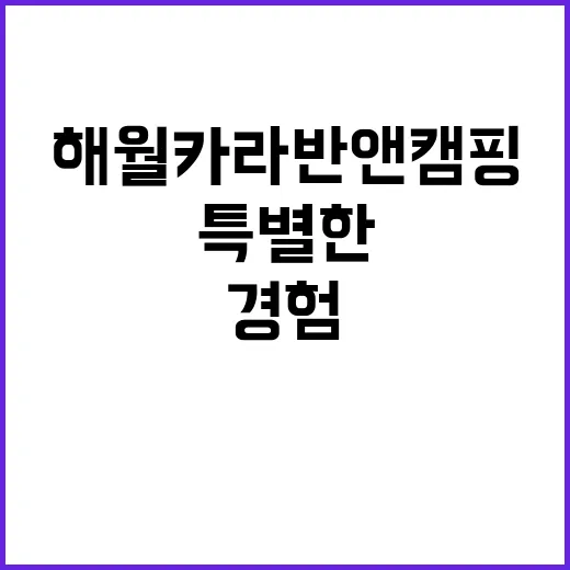 해월카라반앤캠핑 특…