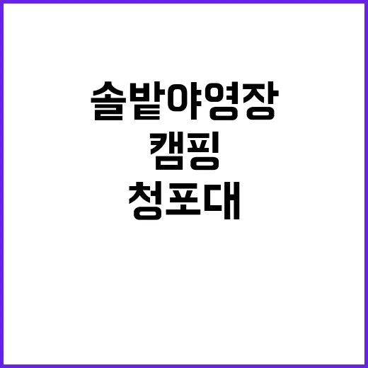 청포대솔밭야영장 가…