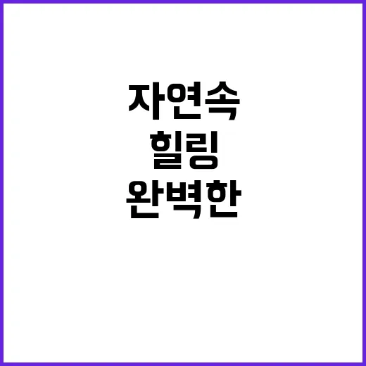 오즈캠핑