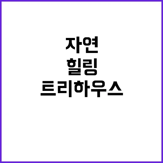 천안 트리하우스 자…