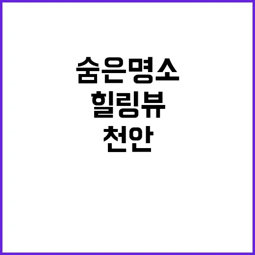 천안 몽각산 힐링뷰…