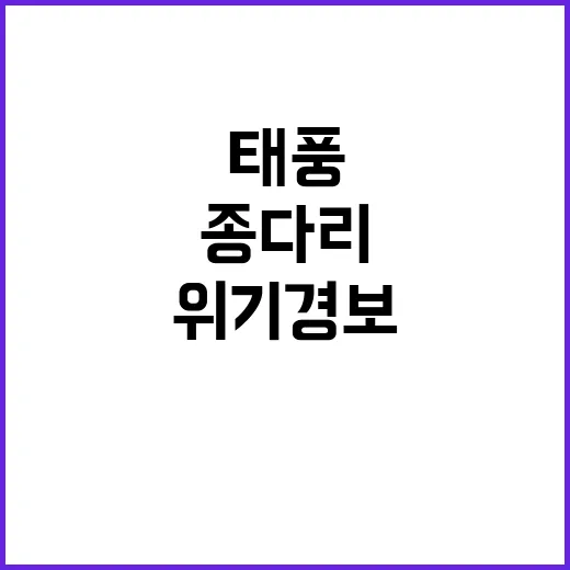 태풍 ‘종다리’ 위기경보 대비 방법 공개!