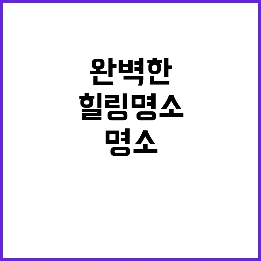 캠프정감 완벽한 캠…