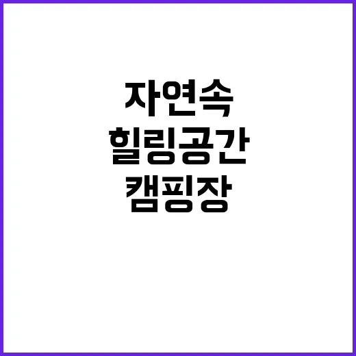 프라이빗캠핑장 비밀…