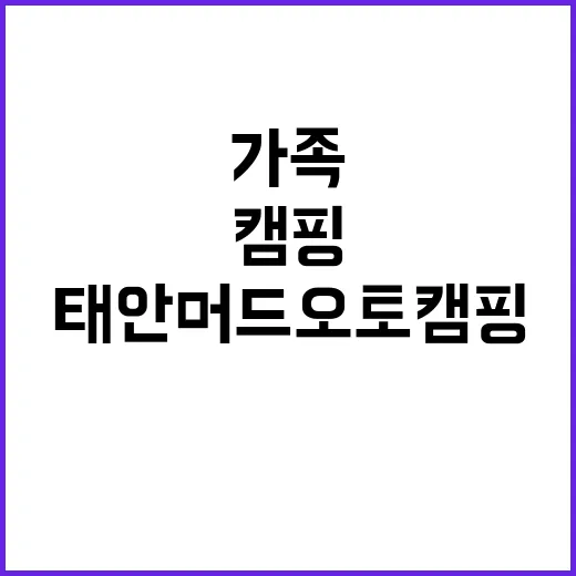 태안머드오토캠핑 가…