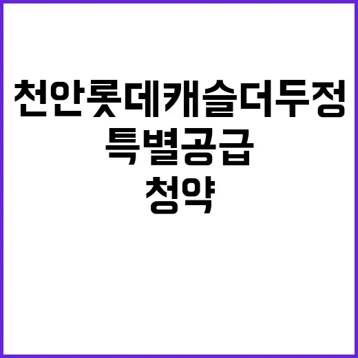 천안 롯데캐슬 더 …