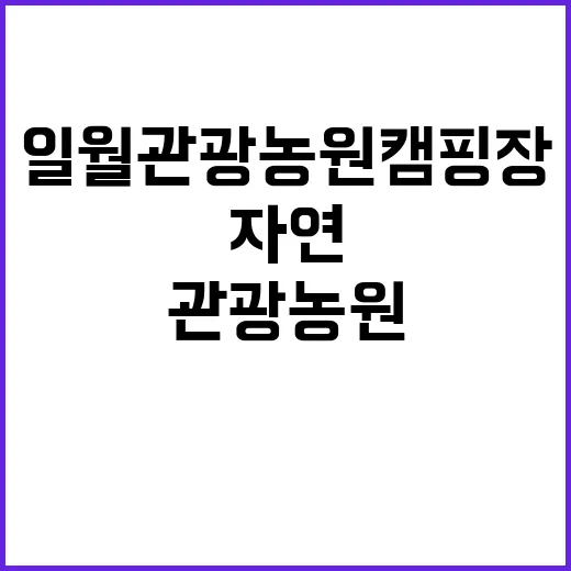 일월관광농원 캠핑장