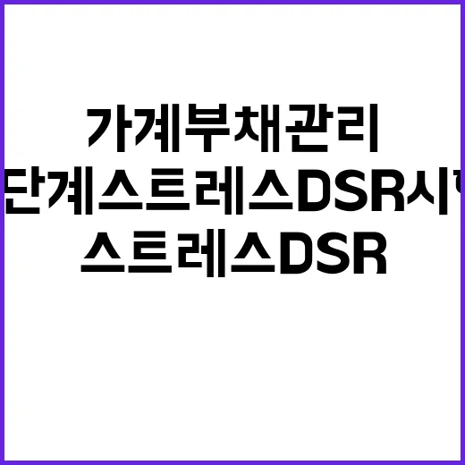 2단계 스트레스 DSR 시행 가계부채 관리 방법 공개