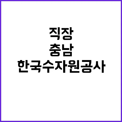 한국수자원공사 비정…