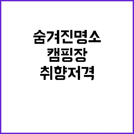 난지섬 쭈꾸미 캠핑장