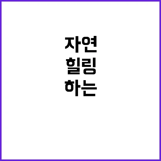 재리캠핑 완벽한 힐…