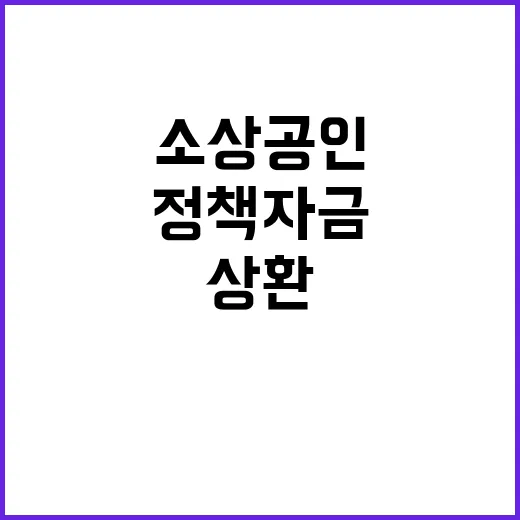 정책 자금 소상공인…