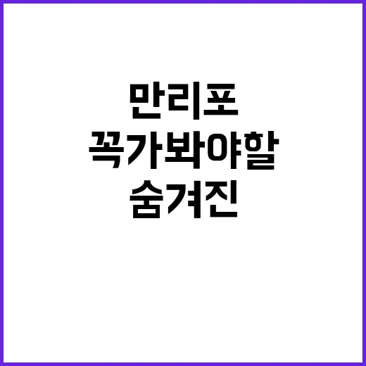 만리포몰디브 숨겨진…