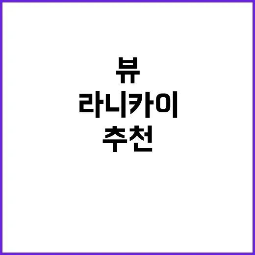 라니카이 감성 가득…