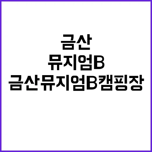 금산 뮤지엄B캠핑장…