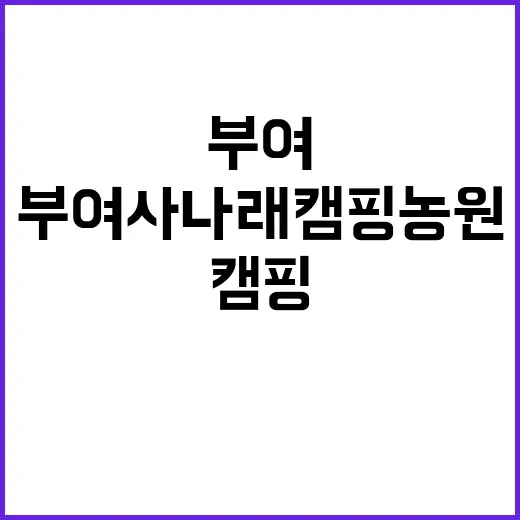 부여사나래캠핑농원