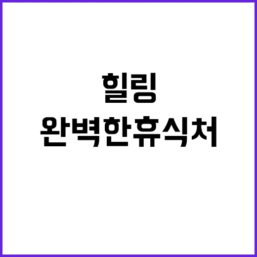 쉼이있는자유