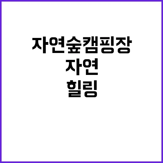 성주산자연숲캠핑장 …