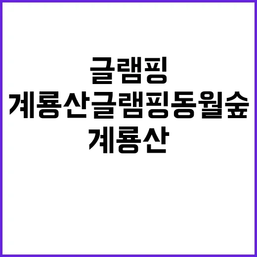 계룡산글램핑 동월숲…