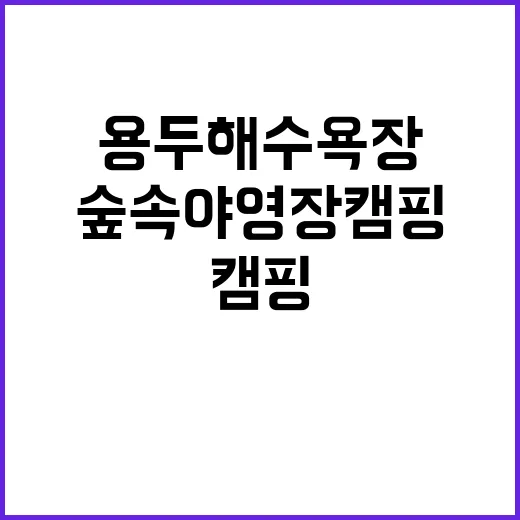 용두해수욕장 숲속야…