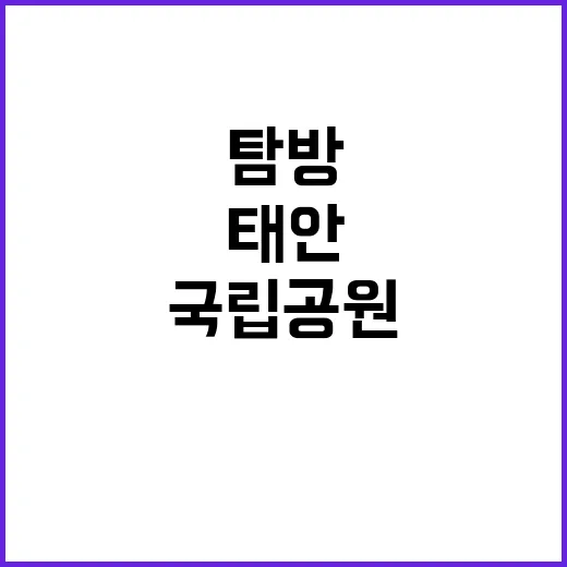 [태안] 2024년 태안해안 기간제(대체인력_탐방해설) 채용 공고