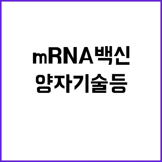 mRNA 백신 양자…