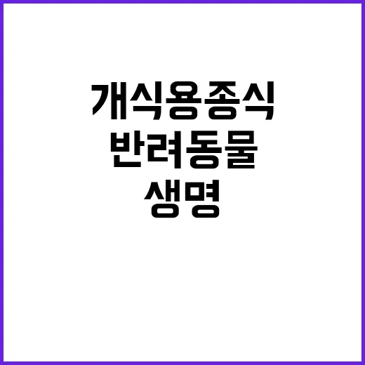 개식용종식 생명 존…