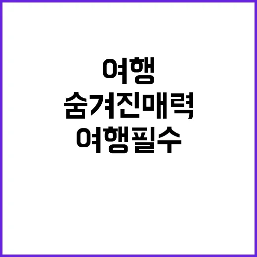 다인캠핑장 힐링 여…