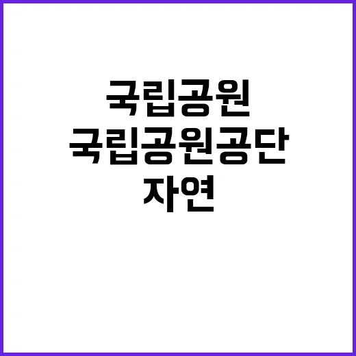 국립공원공단 비정규…