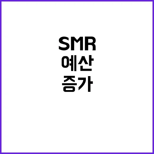 SMR 안전성 내년…