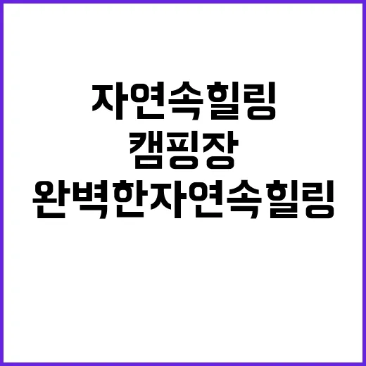 신두리 오렌지 캠핑…